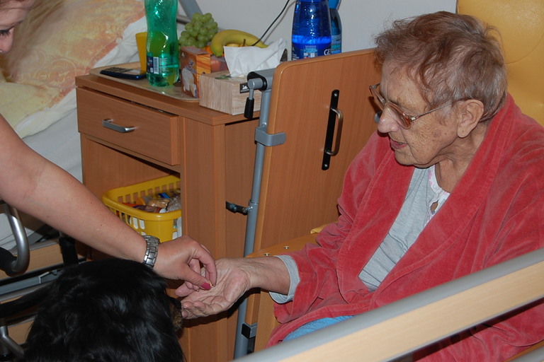 Psí pomoc klientům Diakonie ČCE - hospic CITADELA