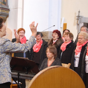 Koncert Klubu seniorů z Rožnova