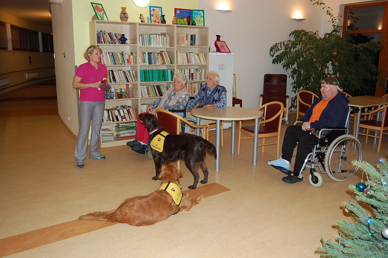 Psí pomoc v hospici a domově