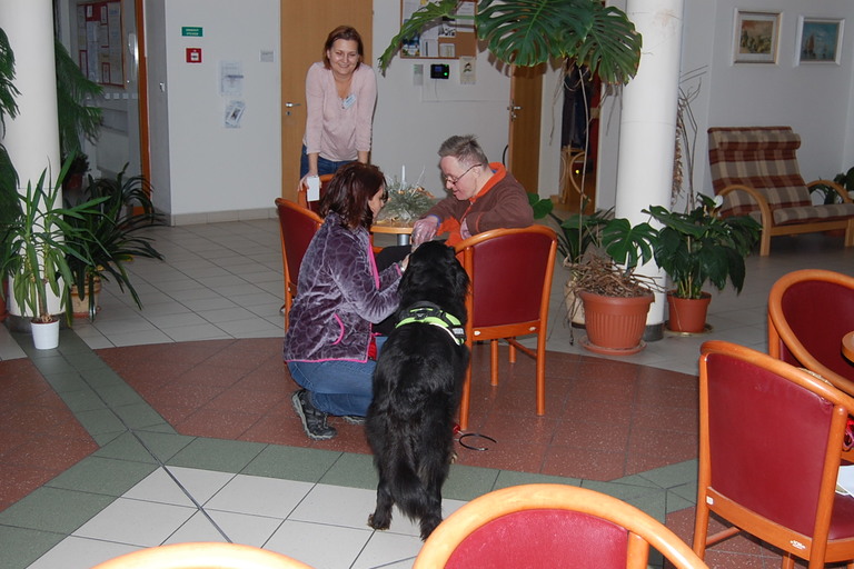 Psí pomoc v hospici a domově