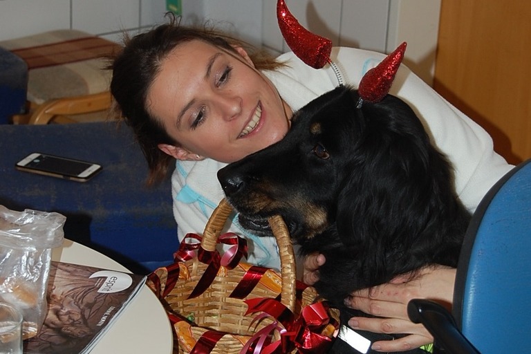 Psí pomoc v hospici a domově