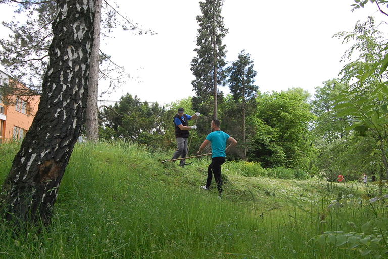 Outdoor day JDE 