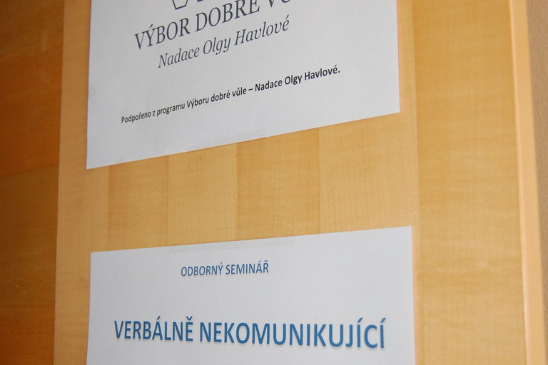 VDV_