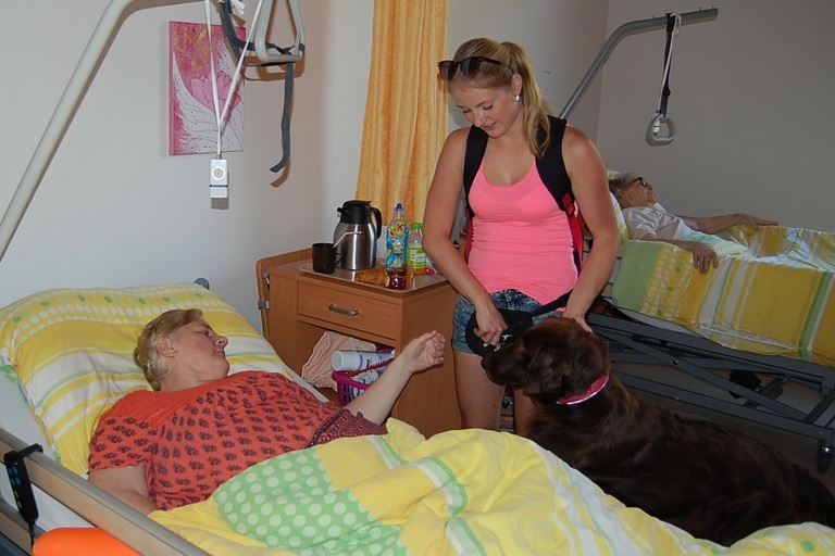 Canisterapie aneb psí pomoc klientům DČCE - hospic CITADELA