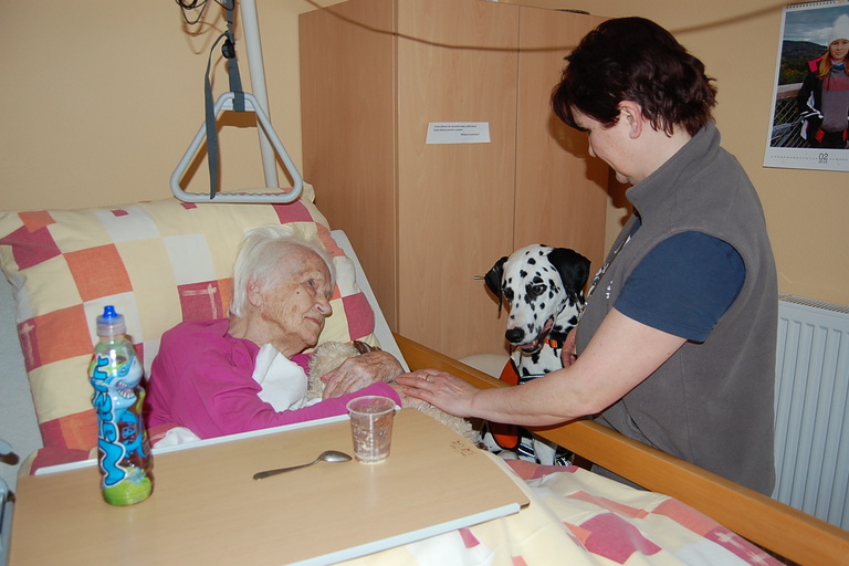 Canisterapie aneb psí pomoc klientům DČCE - hospic CITADELA
