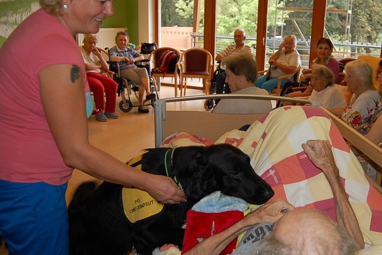 Canisterapie aneb psí pomoc klientům DČCE - hospic CITADELA