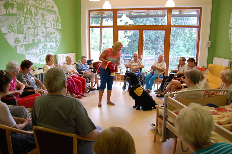 Canisterapie aneb psí pomoc klientům DČCE - hospic CITADELA