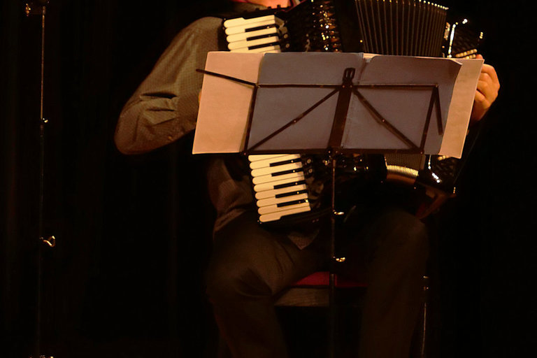 Benefiční koncert jaroslava Svěceného