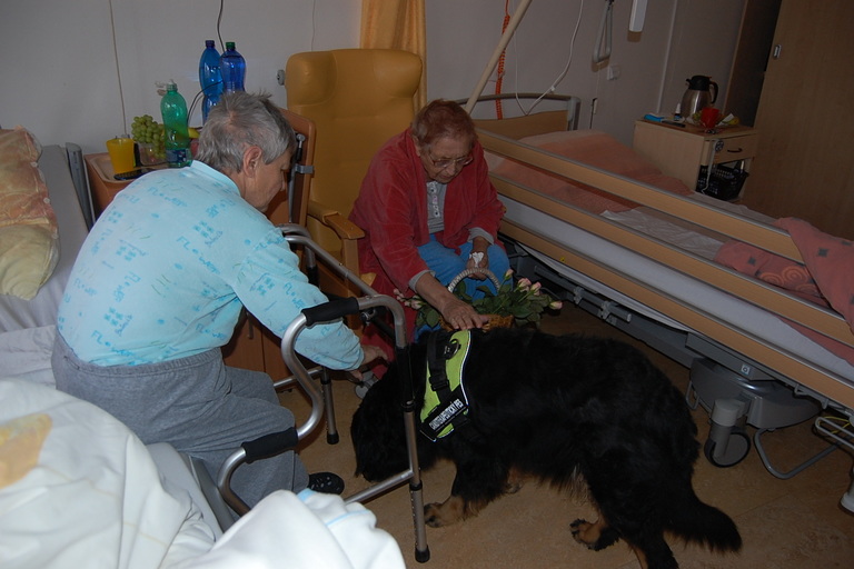 Psí pomoc klientům Diakonie ČCE - hospic CITADELA