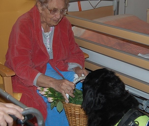 Psí pomoc klientům Diakonie ČCE - hospic CITADELA