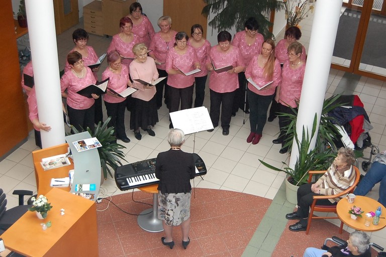 Koncert pěveckého sboru Hedvika