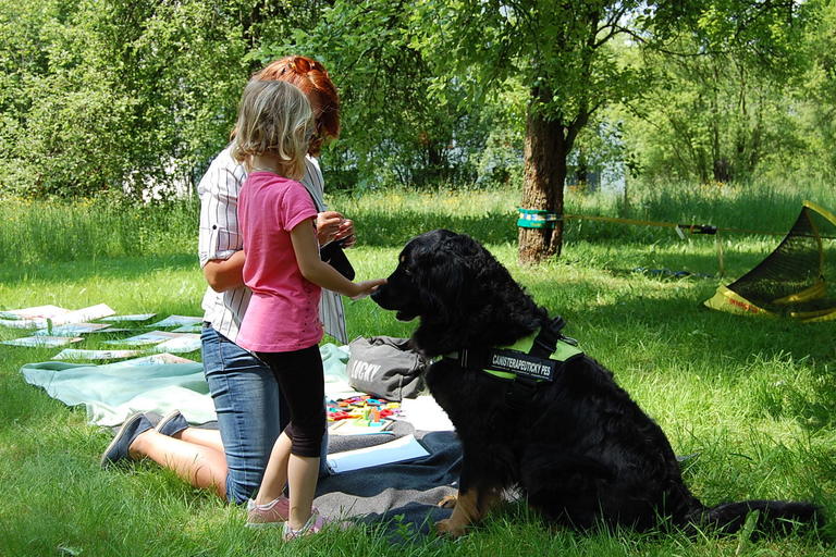 Den Diakonie 2019