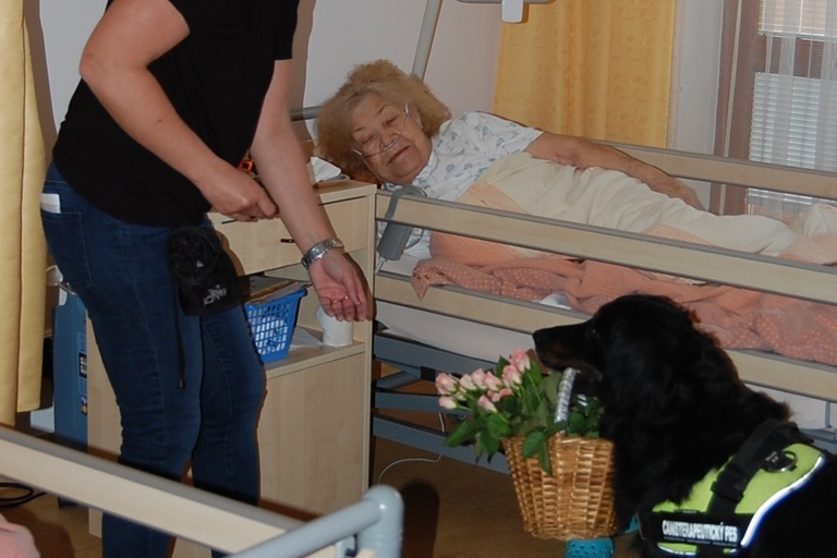 Psí pomoc klientům Diakonie ČCE - hospic CITADELA